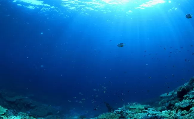 The Most Common Cause of Death at Sea