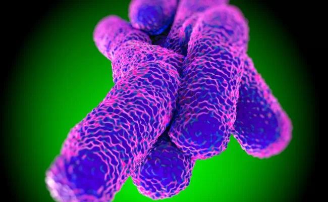 The risk of Legionella at sea