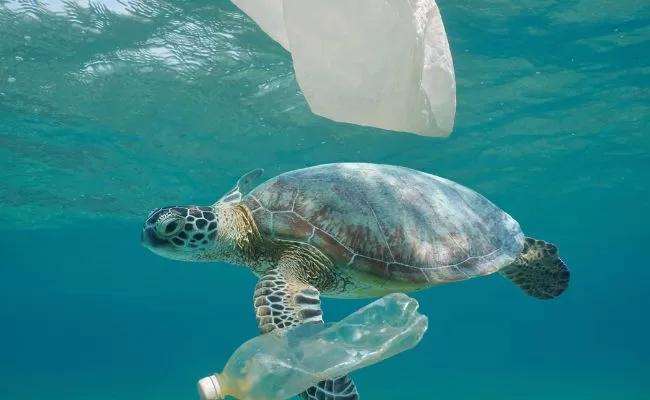 Reduce your plastic waste with Drinksafe