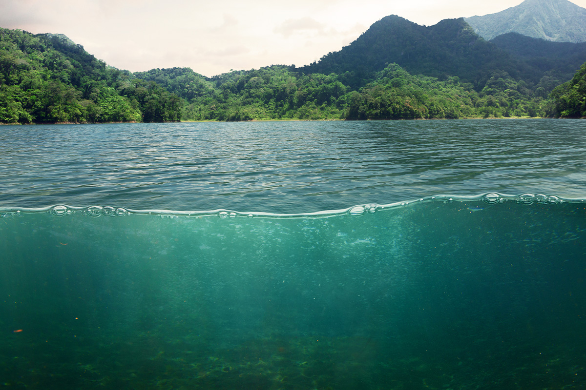 Sewage Effluent Testing Guide - Martek Marine